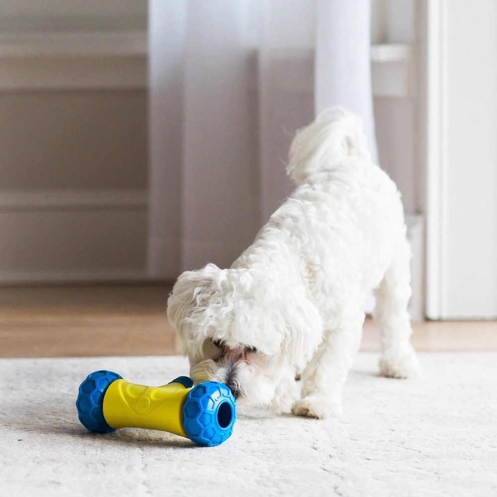 JW Pet Robo Bone Electronic Treat Dispenser Dog Toy